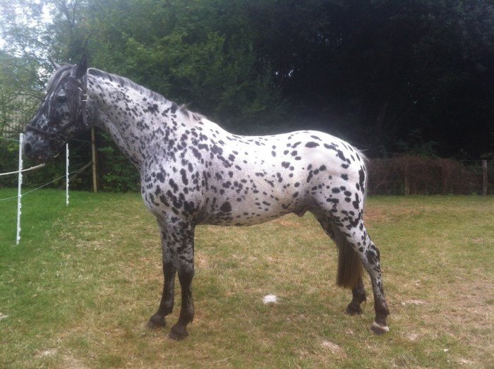 Parfois il adopte des positions bien particuli�re 