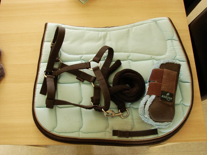 Ensemble Bleu clair/Marron