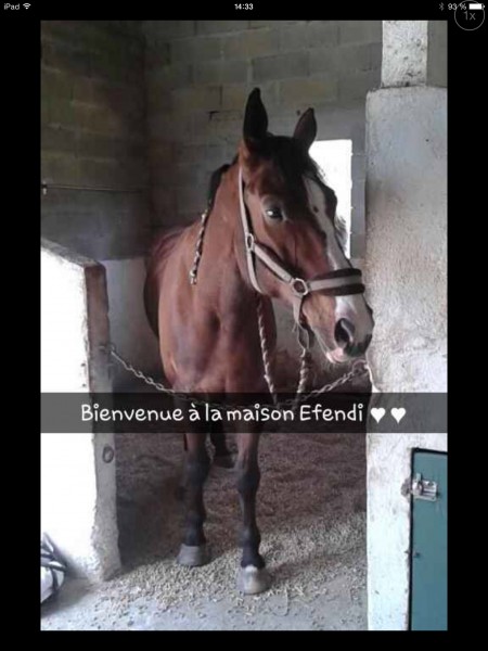 Son arrive a la maison 
