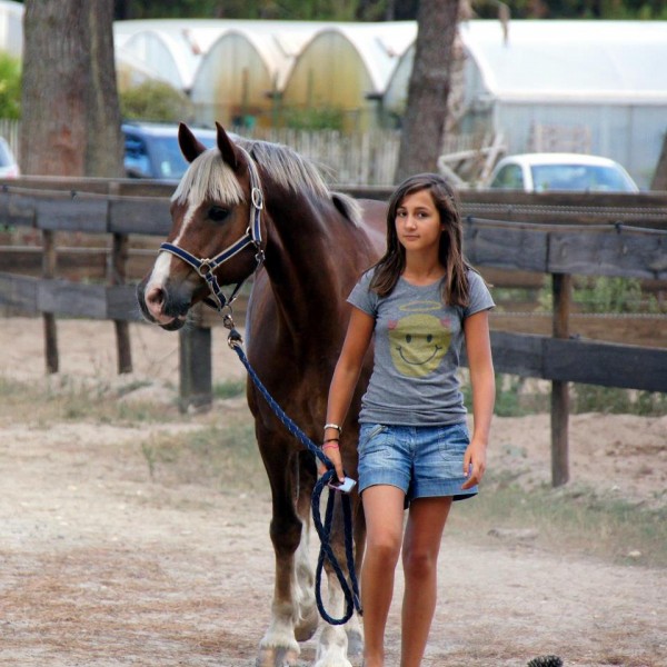 la photo viens d'un site compltement faux cre par une amie mais le poney est a moi (ma cousine)