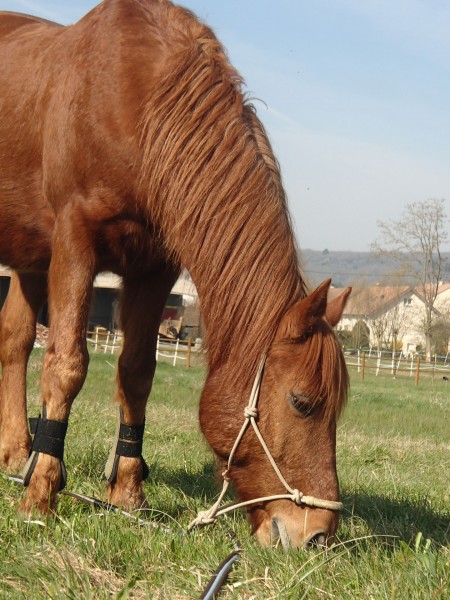 Mon doudou <3