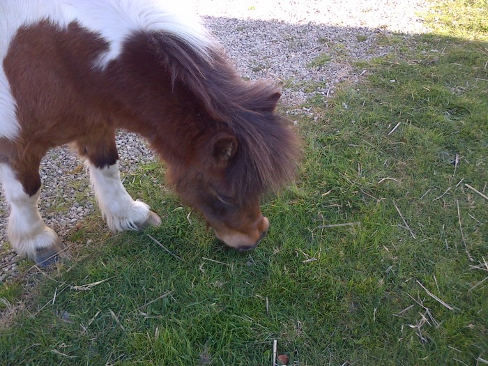 Opaline, mon amie, ma vie...