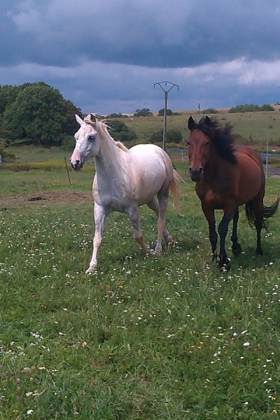 Mes deux bbs