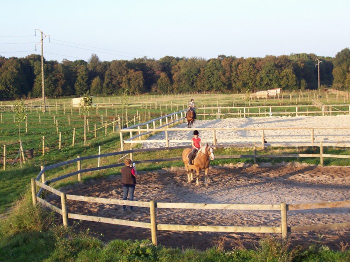 Le rond de longe et quelques paddock