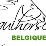 Logo Equihorse Equestrian Directory3