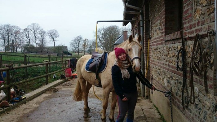 Jument OC (SF* Welsh cob) de 3 ans