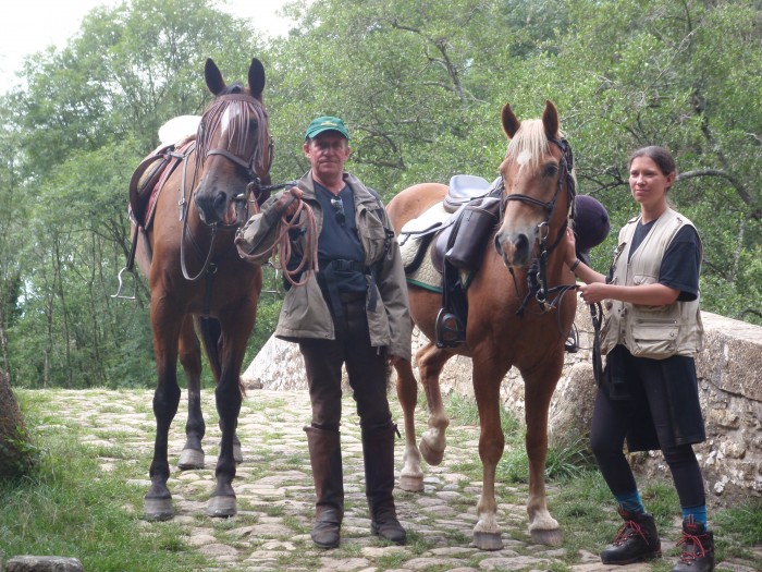 Quelles sont les différences entre un cheval et un poney ?