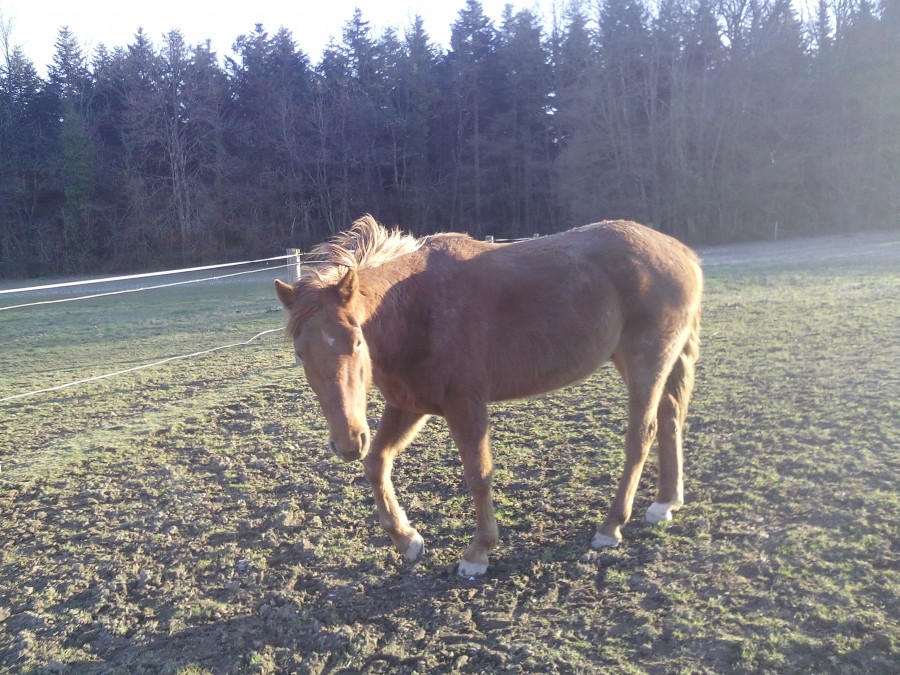 mon gros pepere en hiver !