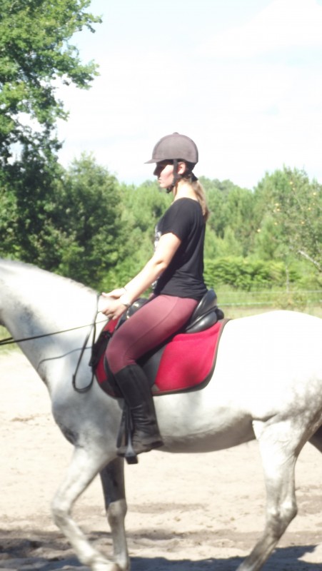 Selle sur cheval avec cavalier