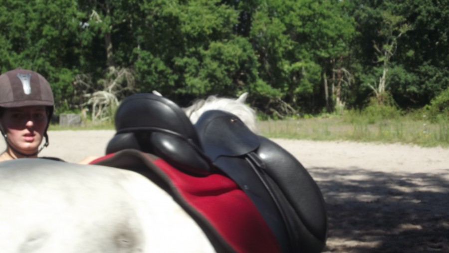 Selle sur cheval 