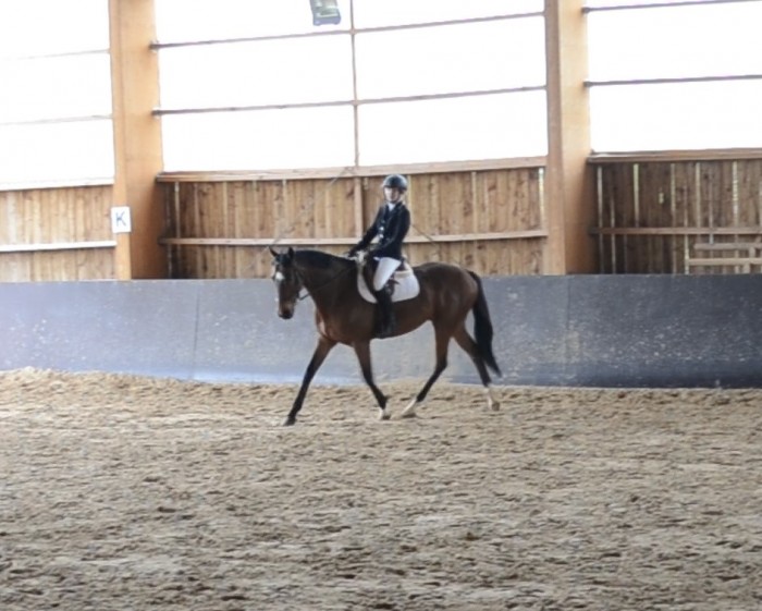 examen galop 7 dressage
