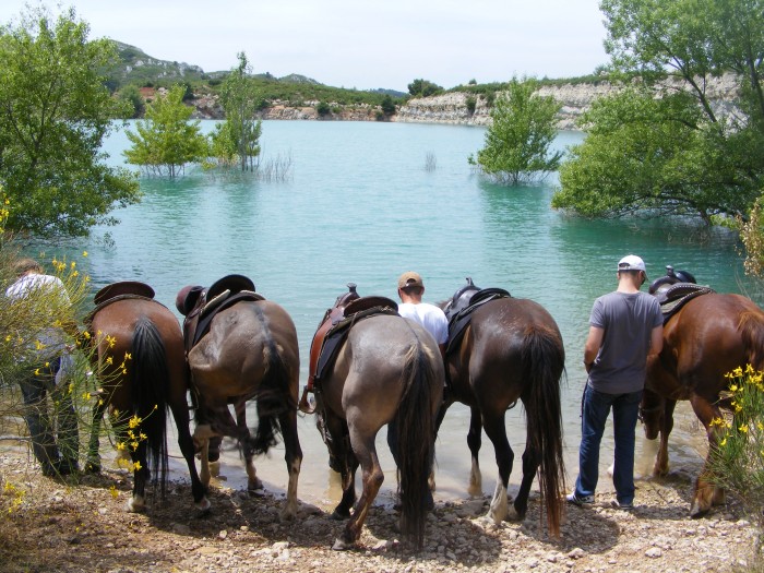 Randonne au coeur des Alpilles en Provence