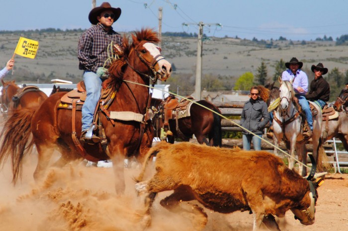 Sbastien FABRE, champion de France et d'Europe de Team Roping