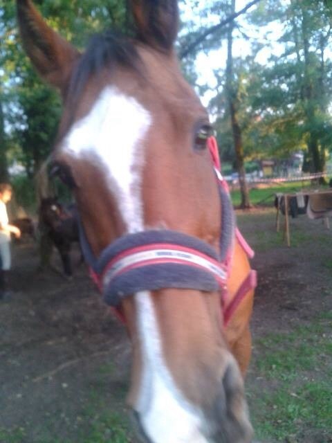 Craquant :3