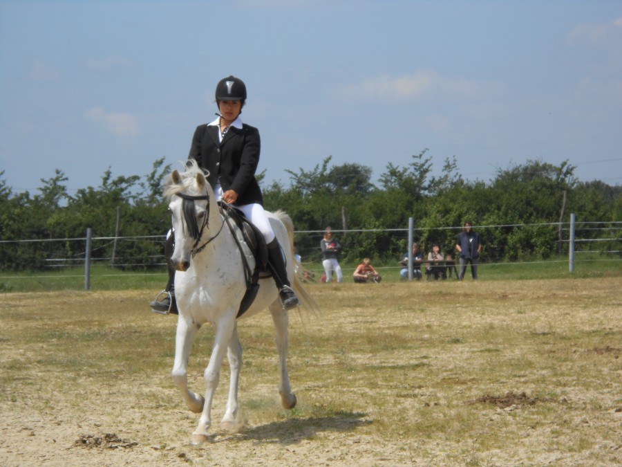 2eme concours de dressage