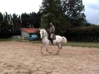 NUMEN galop rassembl