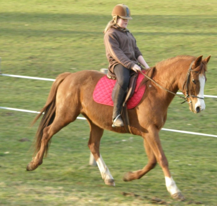 Morgane & Esp�ride... on dresse � la maison.