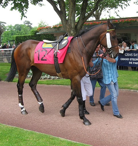 Un aprs midi  l'hippodrome