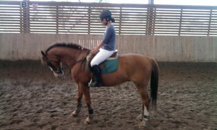 Nash et moi (GENECH)