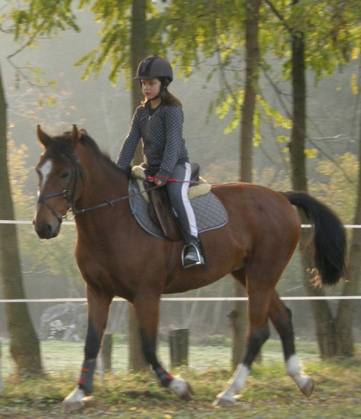 Lola & Moschito... � la maison.