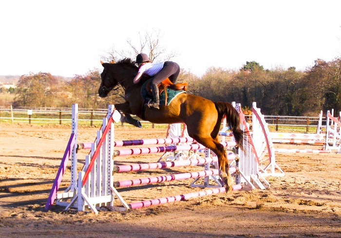 Concours St Andr de Cubzac en Gironde en 2008