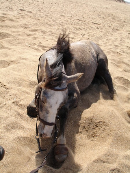 oooh que a fait du bien
