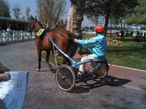 QUARLA la dame de fer hippodrome d'enghien