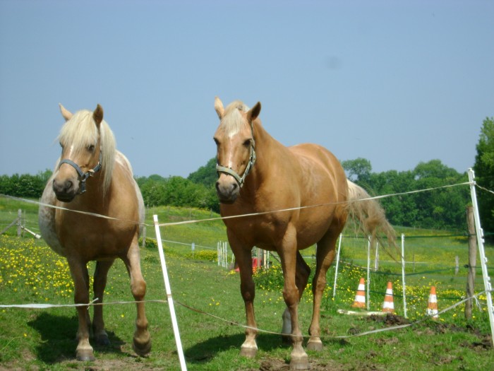 paky et lola mere et fille retrouv au bout de 9 ANS