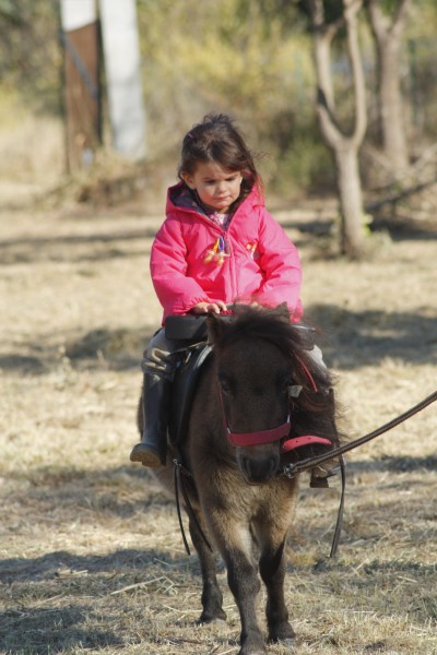 ma fille sur son poney bamba 3 et demi 