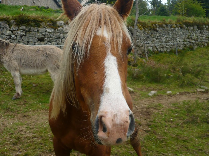 Toya 2 ans :)