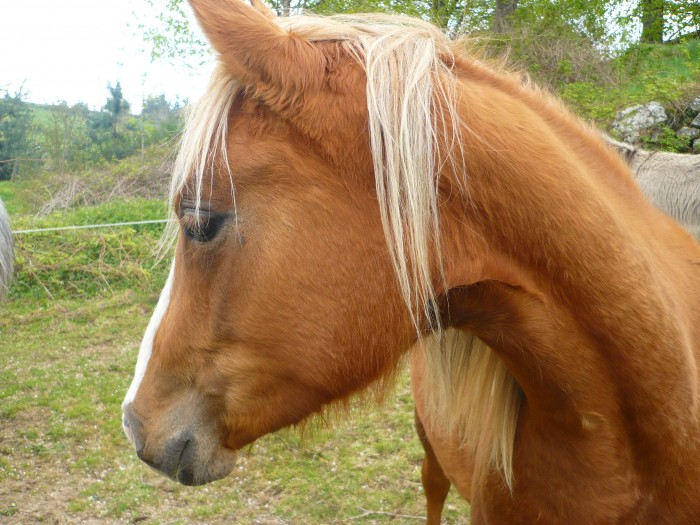 Toya 2 ans :)