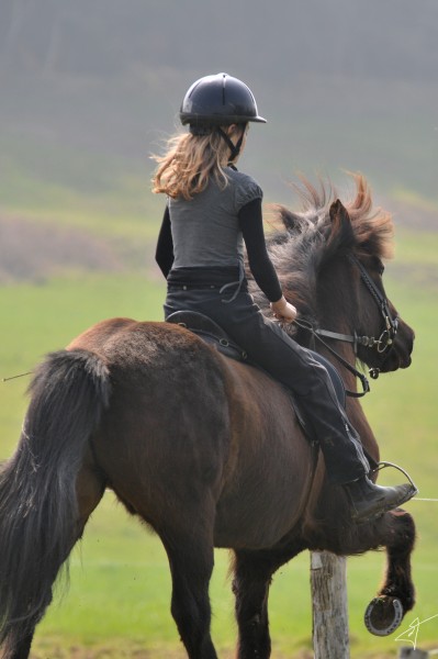 moi avec un de mes chevaux prefere il est au tlt une des 2 allures que l'islandais a en plus! 