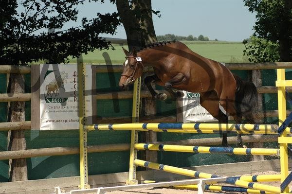 Modele Nord Picardie Mai Juin 2009