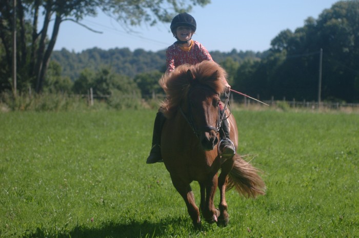 moi et mon cheval qui aime beaucoup galop dans les champs le soir apres l'ecole