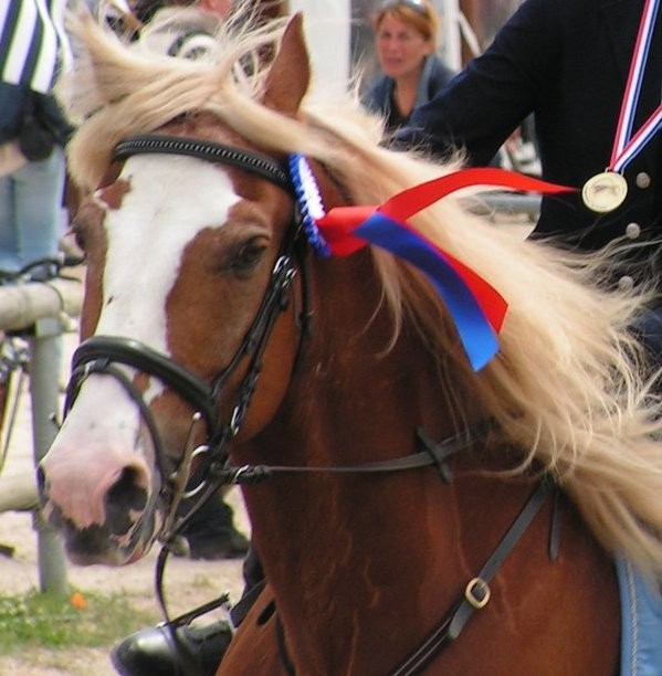 Cork: 16 ans de championnats de France. 