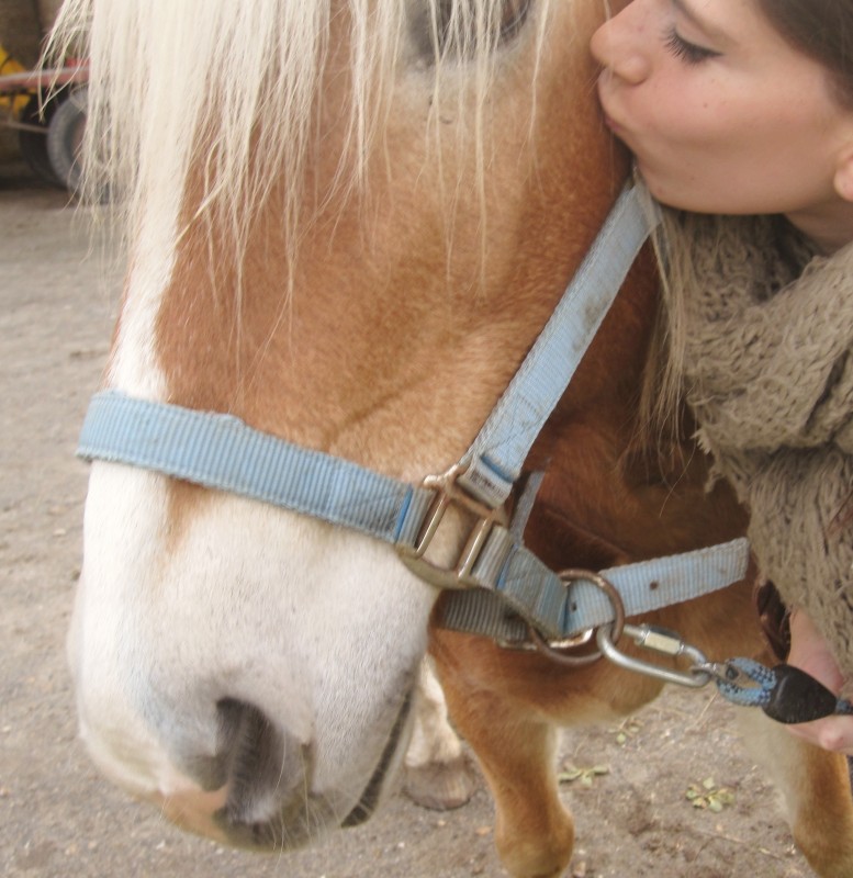 Matt et moi (2eme poney en demi pension) 2013