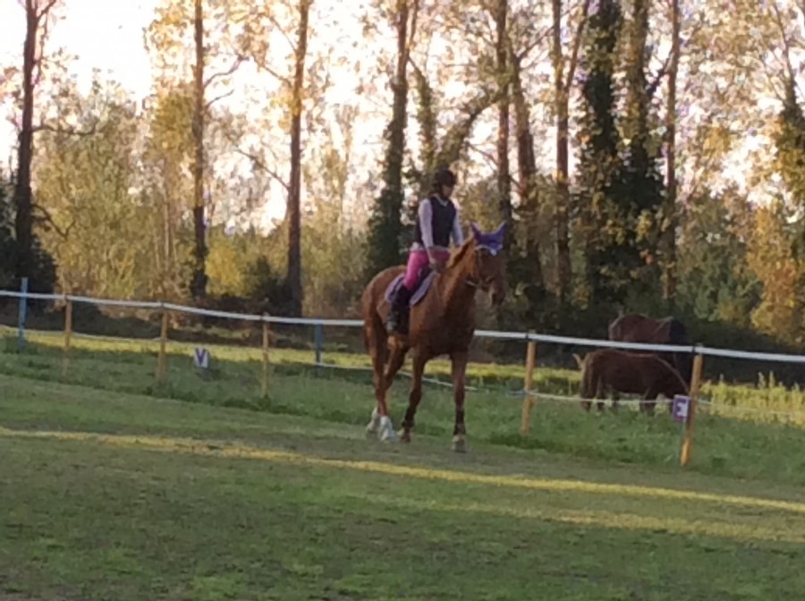 Moi et mon cheval en train de travailler 