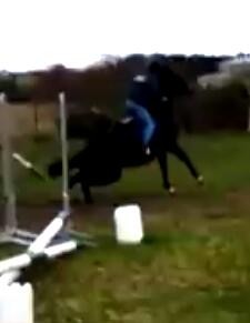 Si votre cheval a l'habitude de faire des coups comme a vous avez des conseils ? hiver 2014