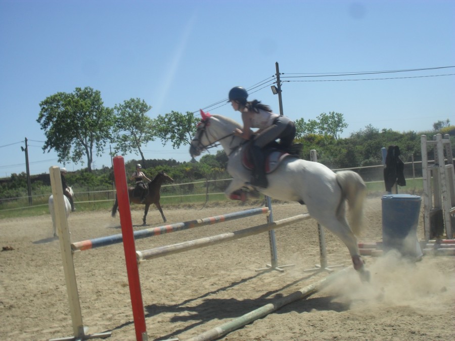 mon poney merveilleux