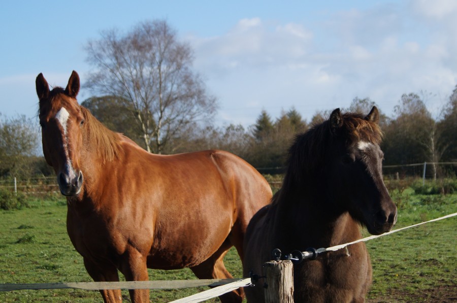 Jackpot et Rabanne