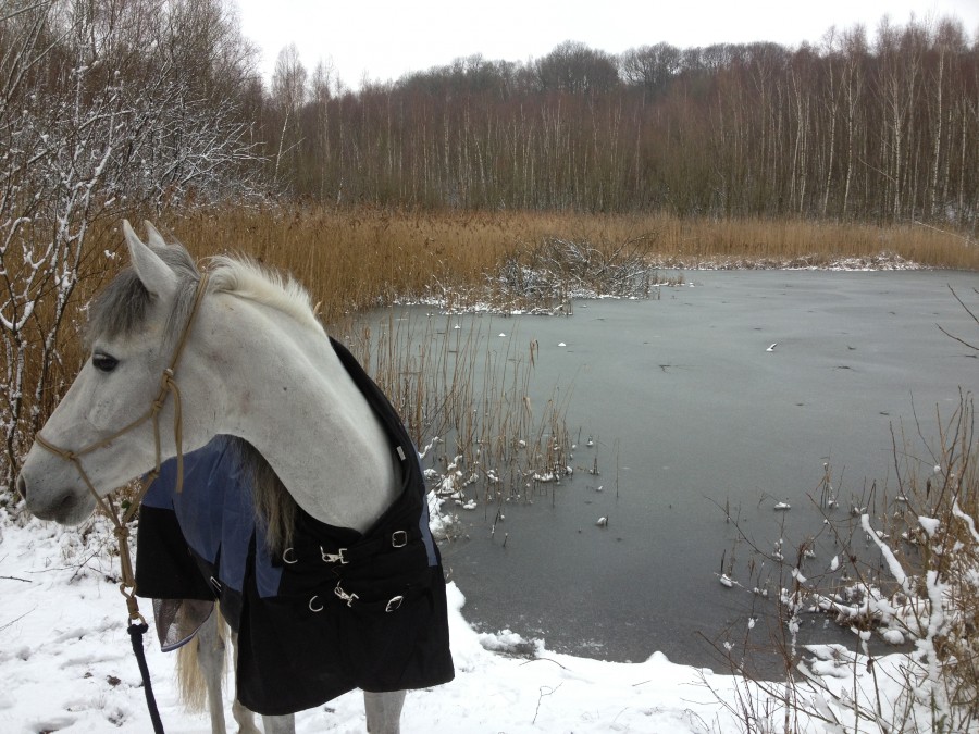 jour de neige