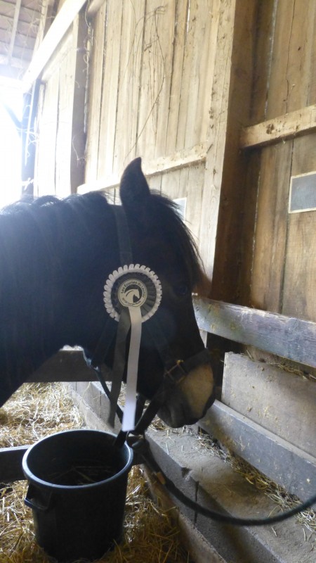 <3Ma best friend pony <3