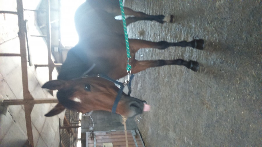  OH!! trop mignonne, R�glisse <3