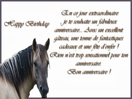 anniversaire chevaux