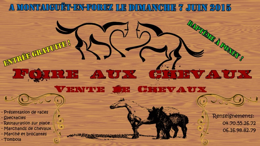 Foire au chevaux de Montaigut-en-Forez a voir et diffuse s'il vous plaie.