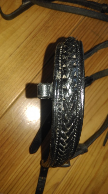 Fillet noir taille cheval tresses sur frontal et muserolle
