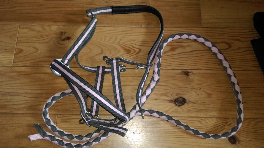 Licol gris et rose taille cheval