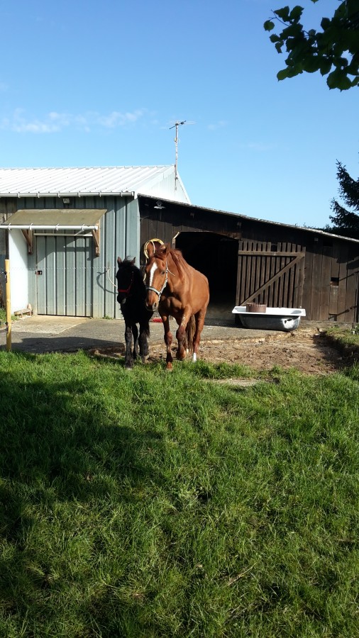 l arrivee a la maison que du bonheur du reve!!