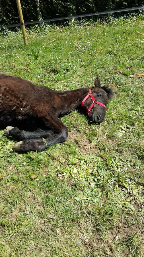 au repos mon bb