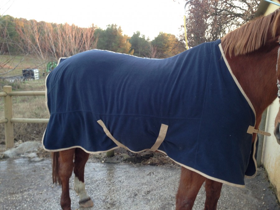 Couverture polaire d�cathlon : 20� Taille 155